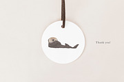 Ocean Species Set - Hand-drawn PNGs, an Animal Illustration by LaurenFittonIllustration (Thumbnail 10 of 10)