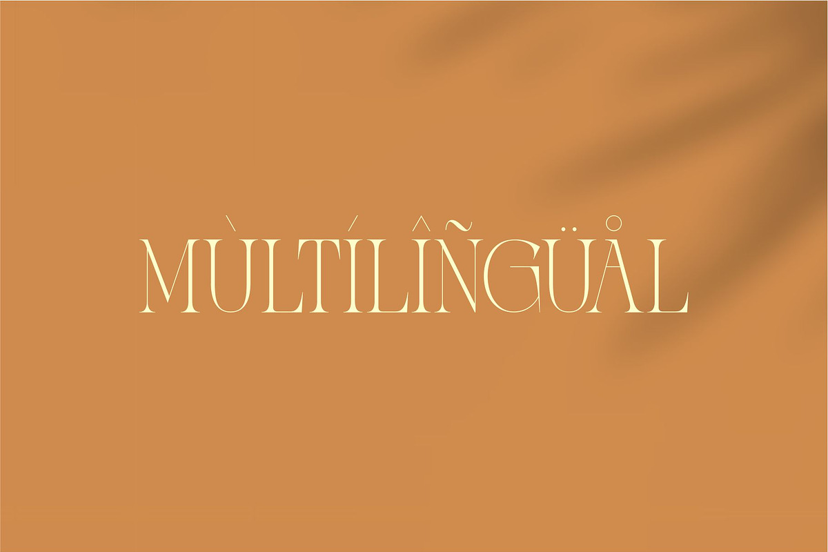 Zaslia - Elegant Ligature Serif, a Serif Font by suhadidesign (Photo 12 of 14)