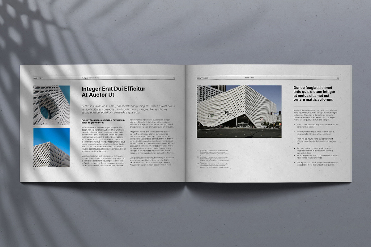 Kreatype Case Study, a Brochure Template by Kreatype Studio (Photo 7 of 17)
