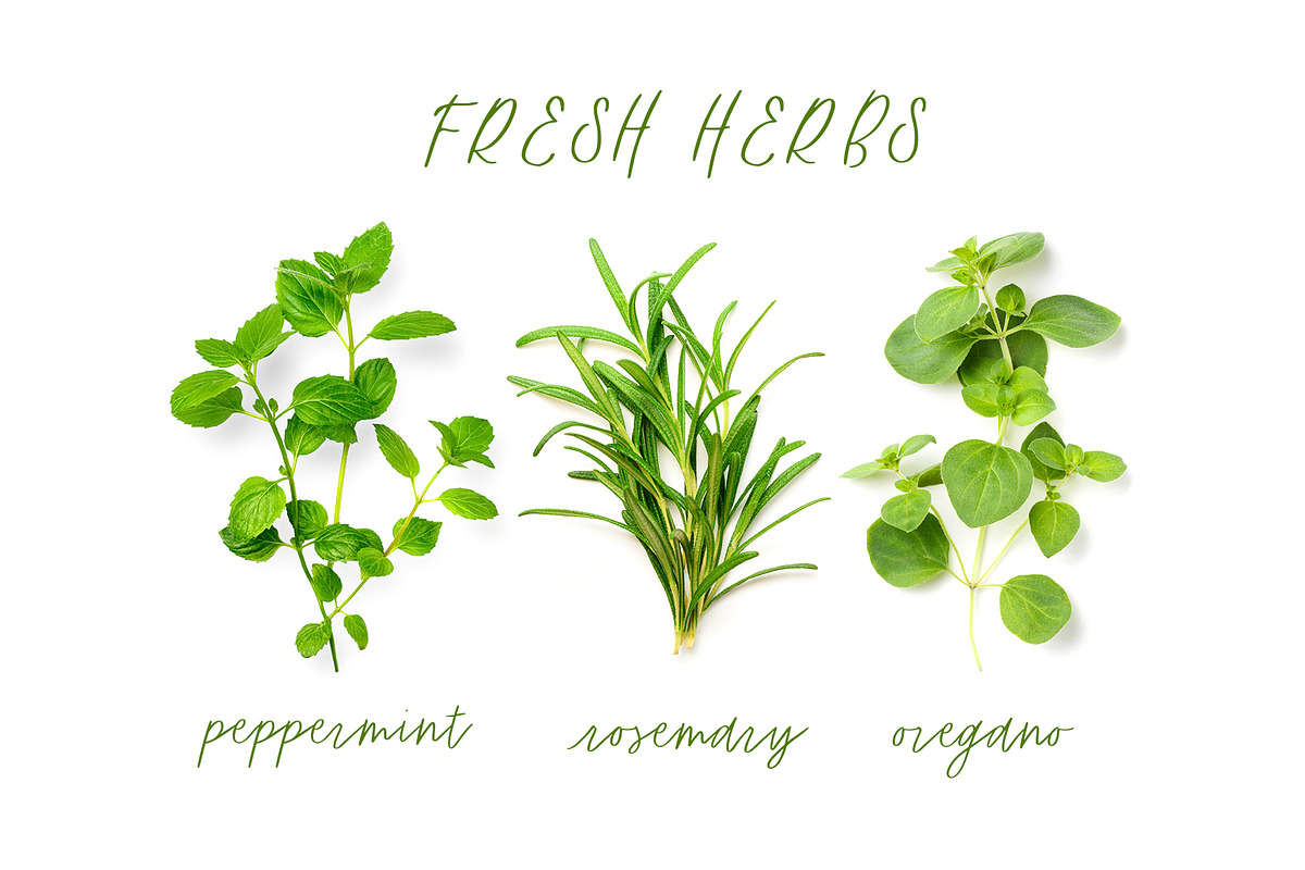 Lemon Verbena Handwritten Font preview 2