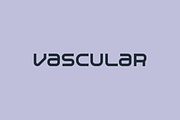 Vakgok Font, a Sans Serif Font by baqoos (Thumbnail 9 of 10)