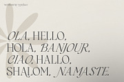 Westbourne - Modern Serif Typeface, a Serif Font by Typetemp Studio (Thumbnail 2 of 17)