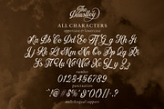 Daustley - Modern Calligraphy, a Font by ErgibiStudio (Thumbnail 9 of 11)