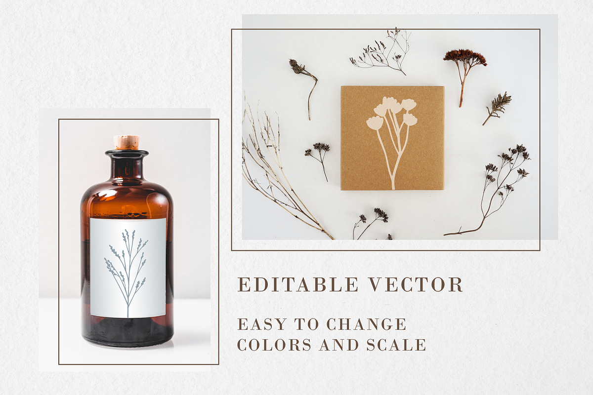 FOREST TREASURES big vector bundle, a Decorative Illustration by Lena Nikolaeva (Photo 8 of 16)