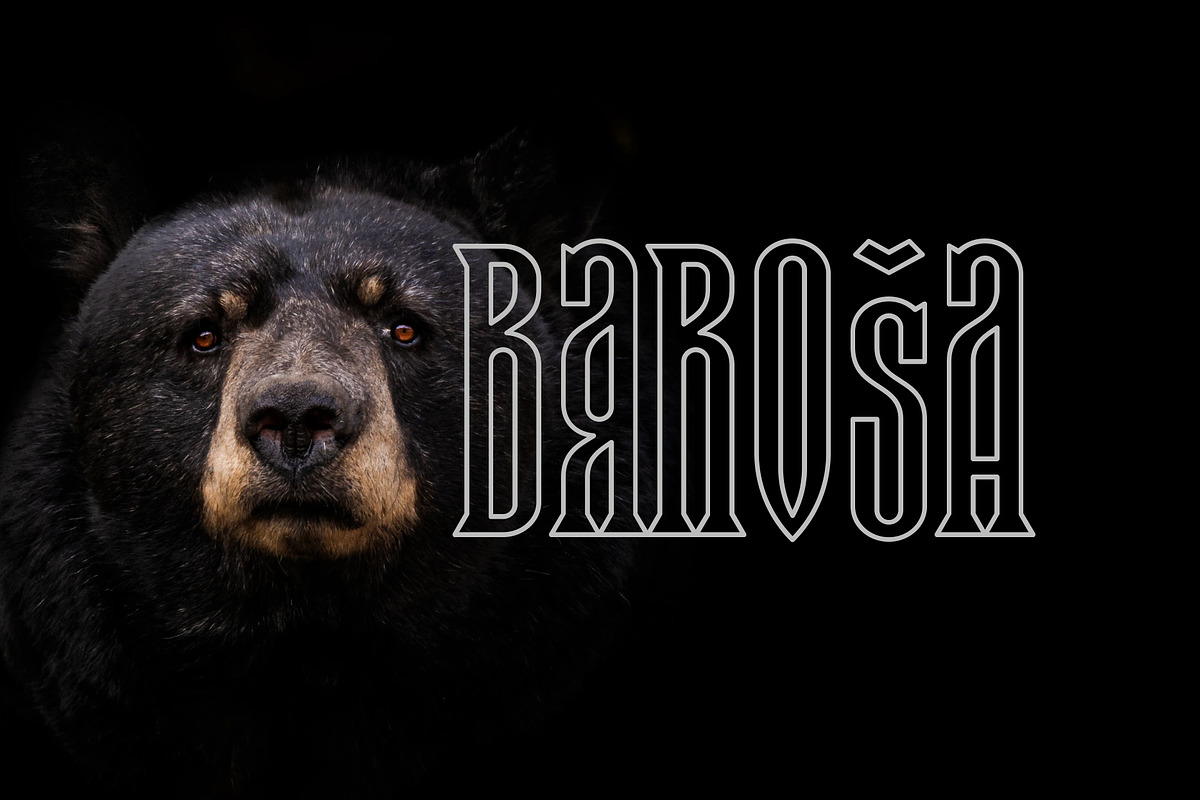 Baroša, a Serif Font by NREY (Photo 2 of 10)