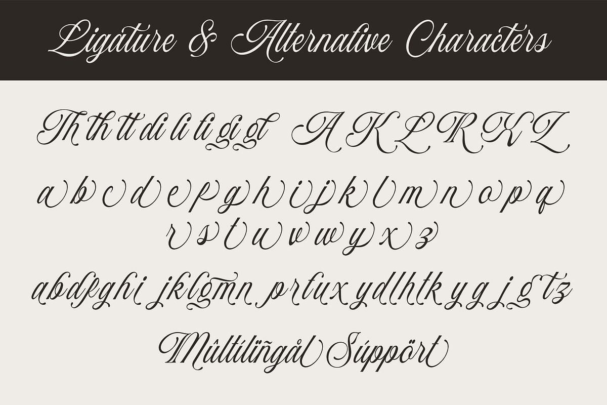 Baliglad – Stylish Calligraphy Font, a Script Font by Honestype (Photo 12 of 12)