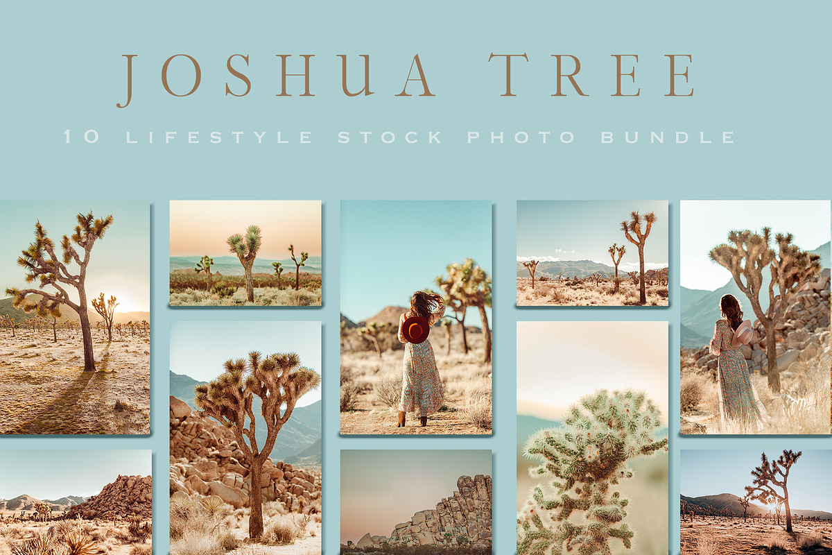 Joshua Tree Desert Wall Art, a Background Photo by Munopia (Photo 2 of 10)
