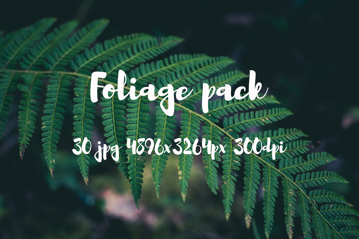 Foliage pack, a Templates & Theme by ApertureVintage (Photo 20 of 21)