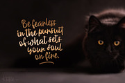 Kittie | Regular & Bold, a Script Font by Ayca Atalay (Thumbnail 7 of 10)