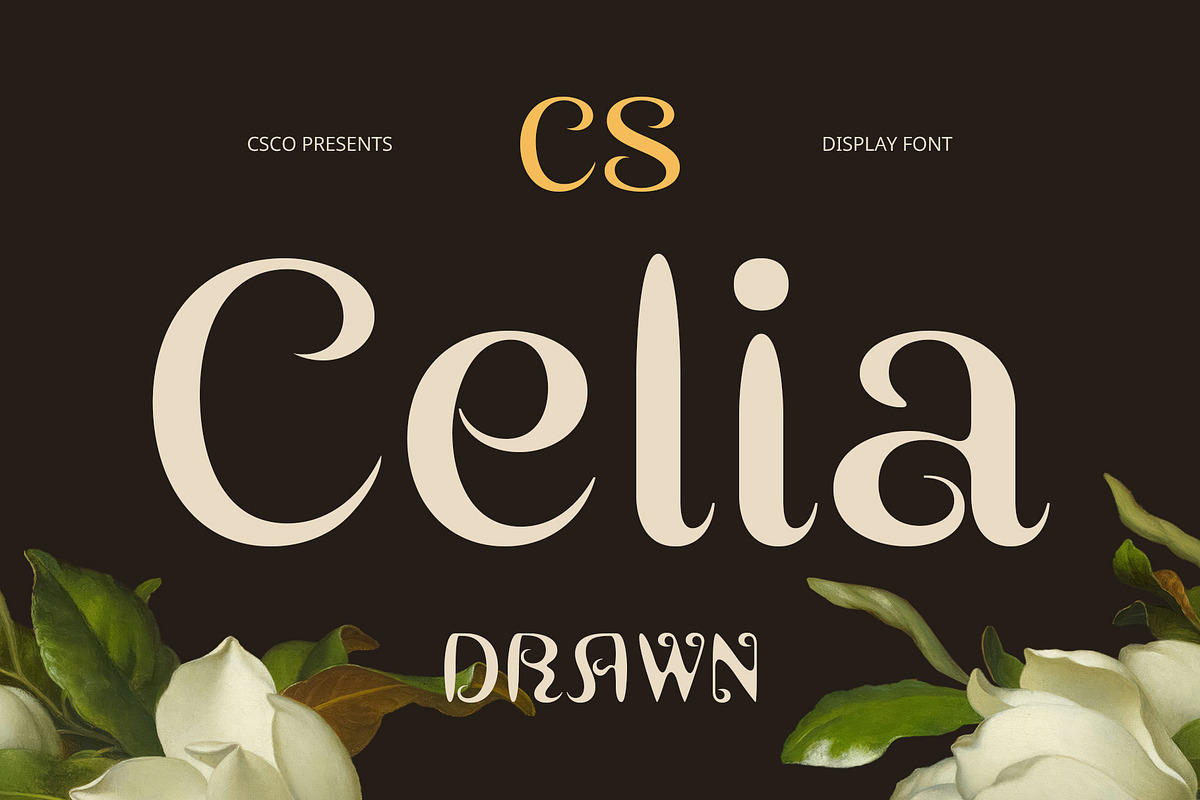 CS Celia Drawn, a Sans Serif Font by Craft Supply Co. (Photo 1 of 8)
