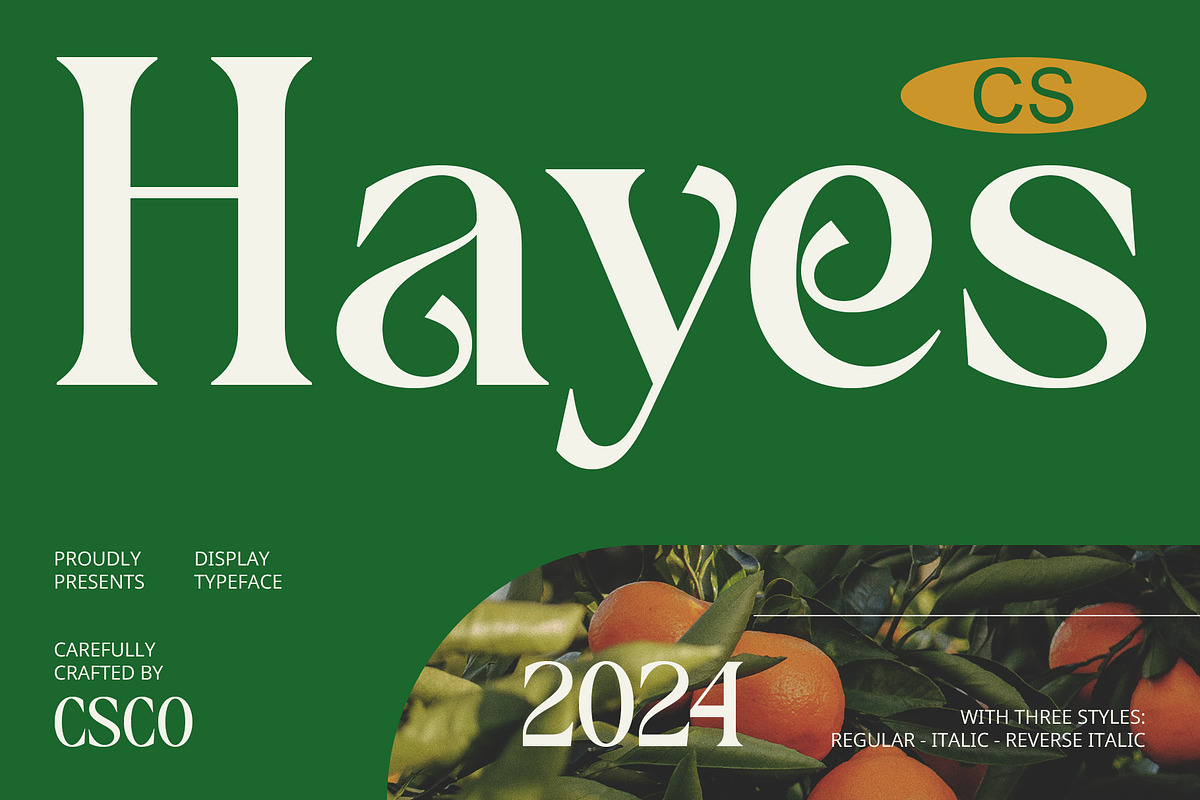CS Hayes – Art Nouveau Font, a Serif Font by Craft Supply Co. (Photo 1 of 8)