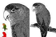 Vector Tracing Photoshop Action, an Action Add-On by MRI STUDIO (Thumbnail 6 of 21)