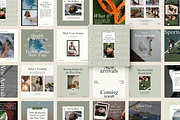 Canva Social Media Templates, a Social Media Template by Brand & Bloom (Thumbnail 12 of 22)
