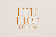 French Typeface - 4 fonts, a Serif Font by VP Fonts (Thumbnail 8 of 9)