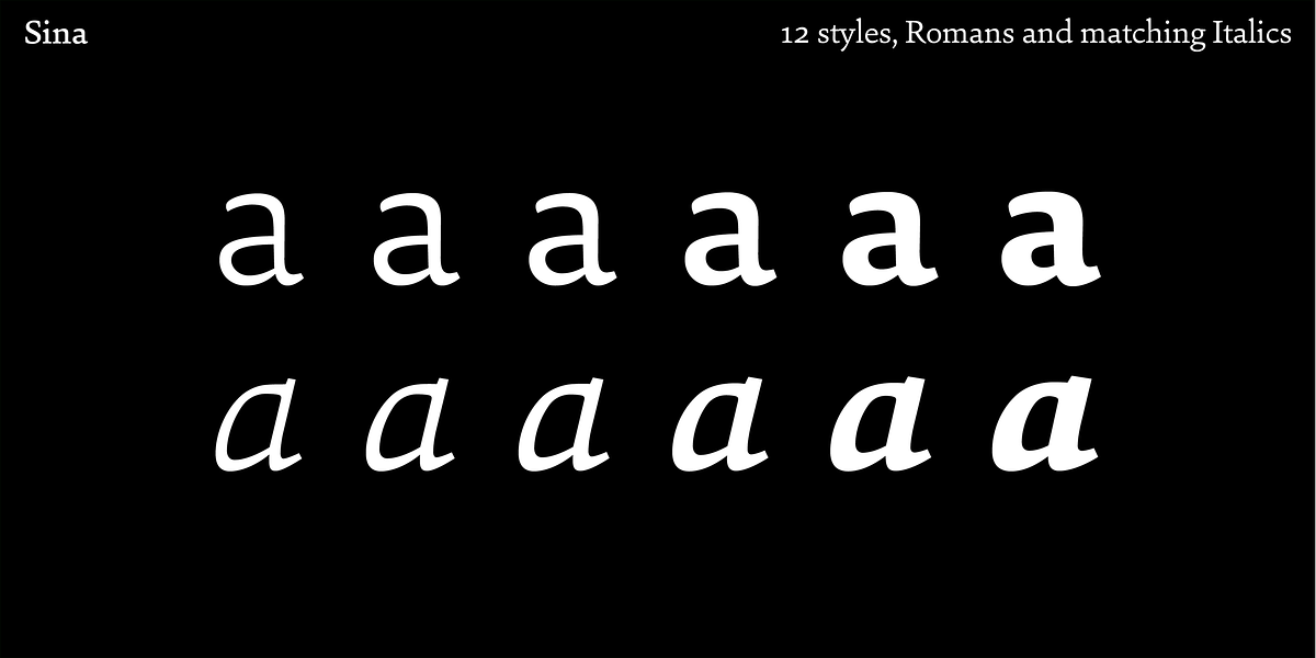 Sina, a Serif Font by Hoftype (Photo 13 of 15)