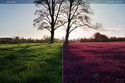 Cherry Fields Action, an Action Add-On by beto (Thumbnail 4 of 5)