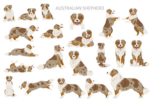 Australian Shepherd Dog Clipart