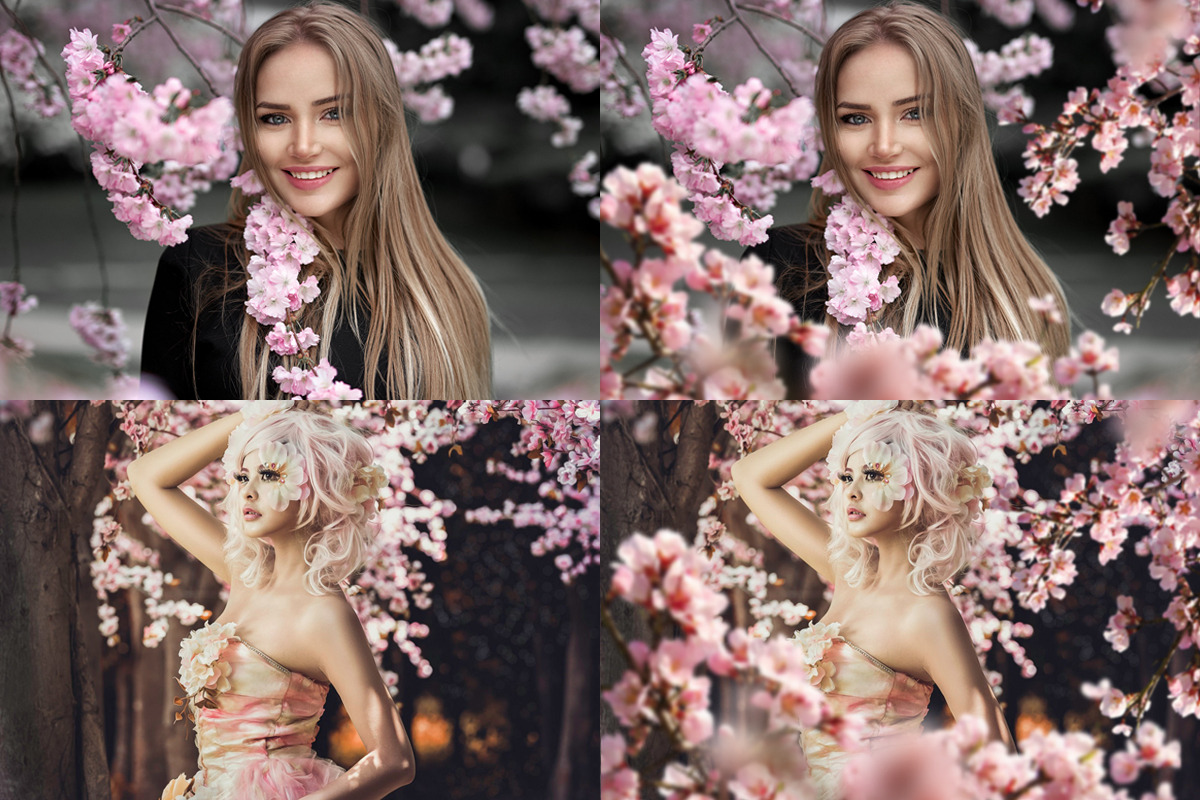 Blossom Tree Branch Overlays, an Object Graphic by DreamyOverlay (Photo 2 of 6)