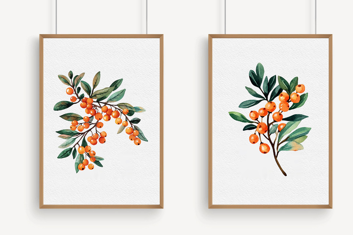 Watercolor Sea Buckthorn berry Clipa, an Illustration by Libby Wishes (Photo 5 of 7)