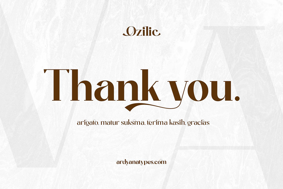 Ozilic, a Serif Font by Ardyanatypes (Photo 12 of 12)
