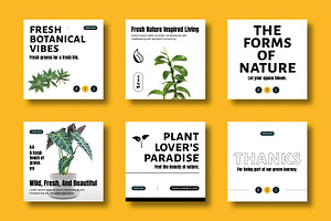 Fresh Botanical Social Media Post, a Social Media Template by MightyDesign