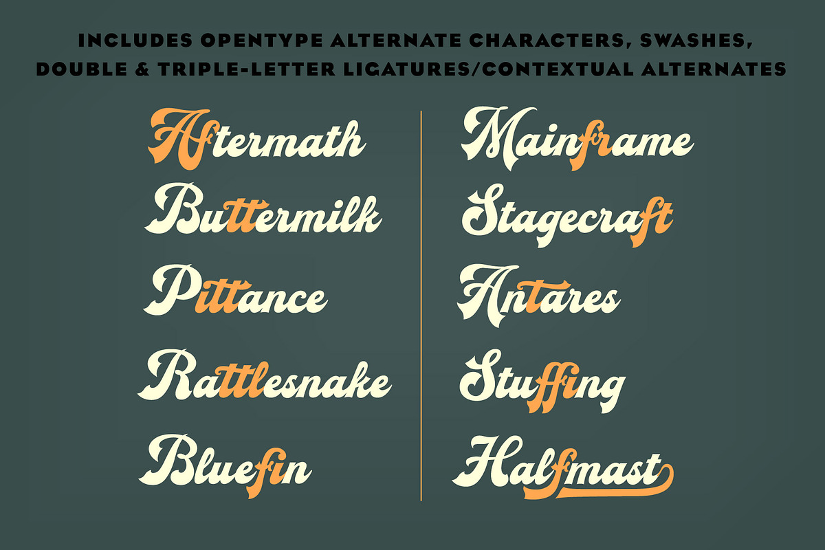 Magnetic Script Font Family, a Script Font by Mysterylab Designs (Photo 5 of 8)