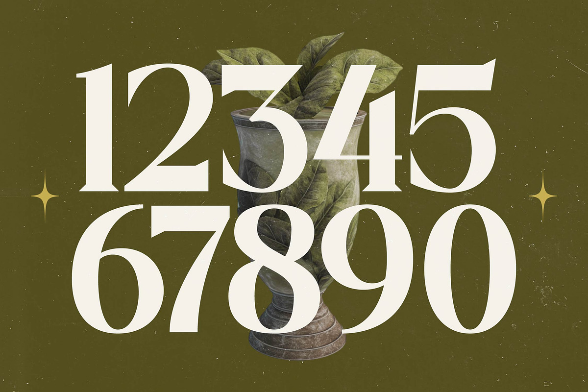 Mistical Spring - Modern Serif, a Serif Font by timelesstype.co (Photo 9 of 20)