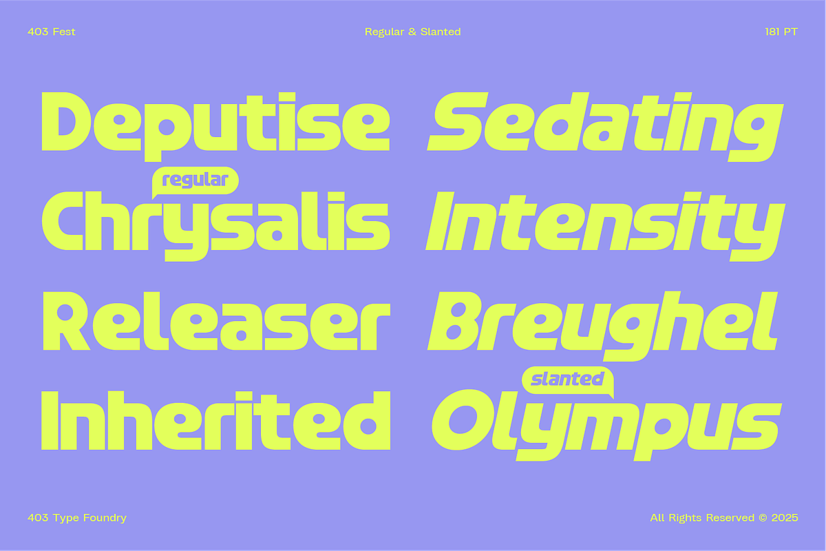 403 FEST, a Sans Serif Font by 403 Type Foundry (Photo 5 of 16)