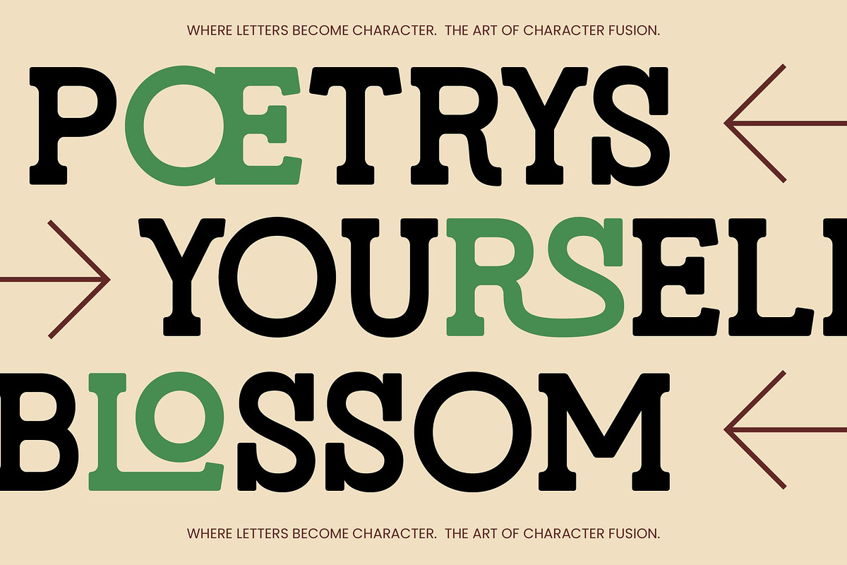Molusen New Retro Serif Display Font, a Slab Serif Font by timelesstype.co (Photo 6 of 10)