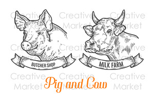 Cow and Pig hand drawn illustration, an Animal Illustration by Sketch Seven Shop