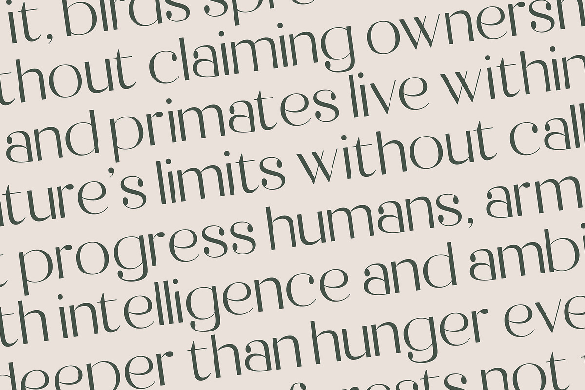 Raslera Modern Serif Display, a Sans Serif Font by timelesstype.co (Photo 16 of 20)