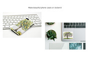 Watercolor Trees, Fruit Trees, Set 1, a Decorative Illustration by Kat's Artful Creations (Thumbnail 9 of 9)