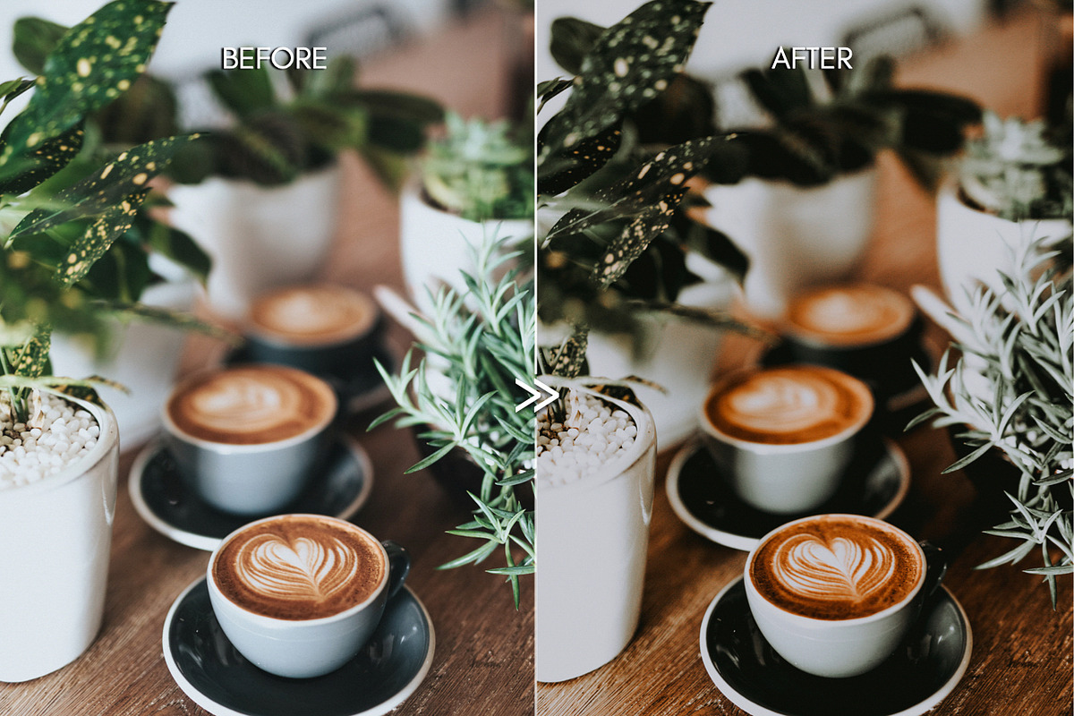 PINE Warm Moody Lightroom Presets preview 5