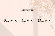 Adelya | Script Font, a Handwritten Font by Scratchones (Thumbnail 8 of 9)