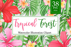 Tropical Leaves And Flowers Clipart