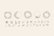 Hand drawn foliage collection, a Decorative Illustration by Merfin (Thumbnail 3 of 5)