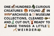 Whimsy of the Past: Vintage Animals, an Object Graphic by Dina Mae (Thumbnail 2 of 9)