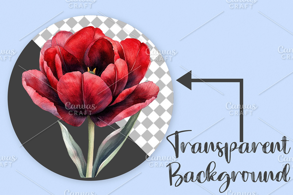 Watercolor Spring Tulips Clipart PNG, an Illustration by Canvas Craft (Photo 2 of 7)