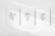 Birth Month flowers Svg, bundle 125, a Graphic by Drawberx (Thumbnail 7 of 10)