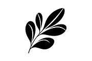 Botanical Leaf Silhouette Bundle, an Illustration by Creativeshirt (Thumbnail 47 of 51)