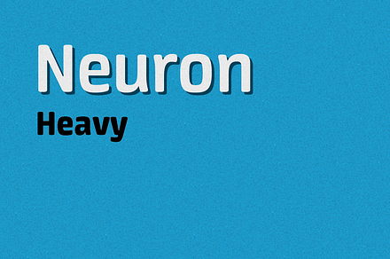 Neuron heavy