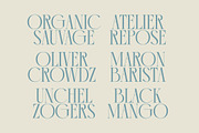 Comela Elegant Ligature Serif, a Serif Font by timelesstype.co (Thumbnail 6 of 20)