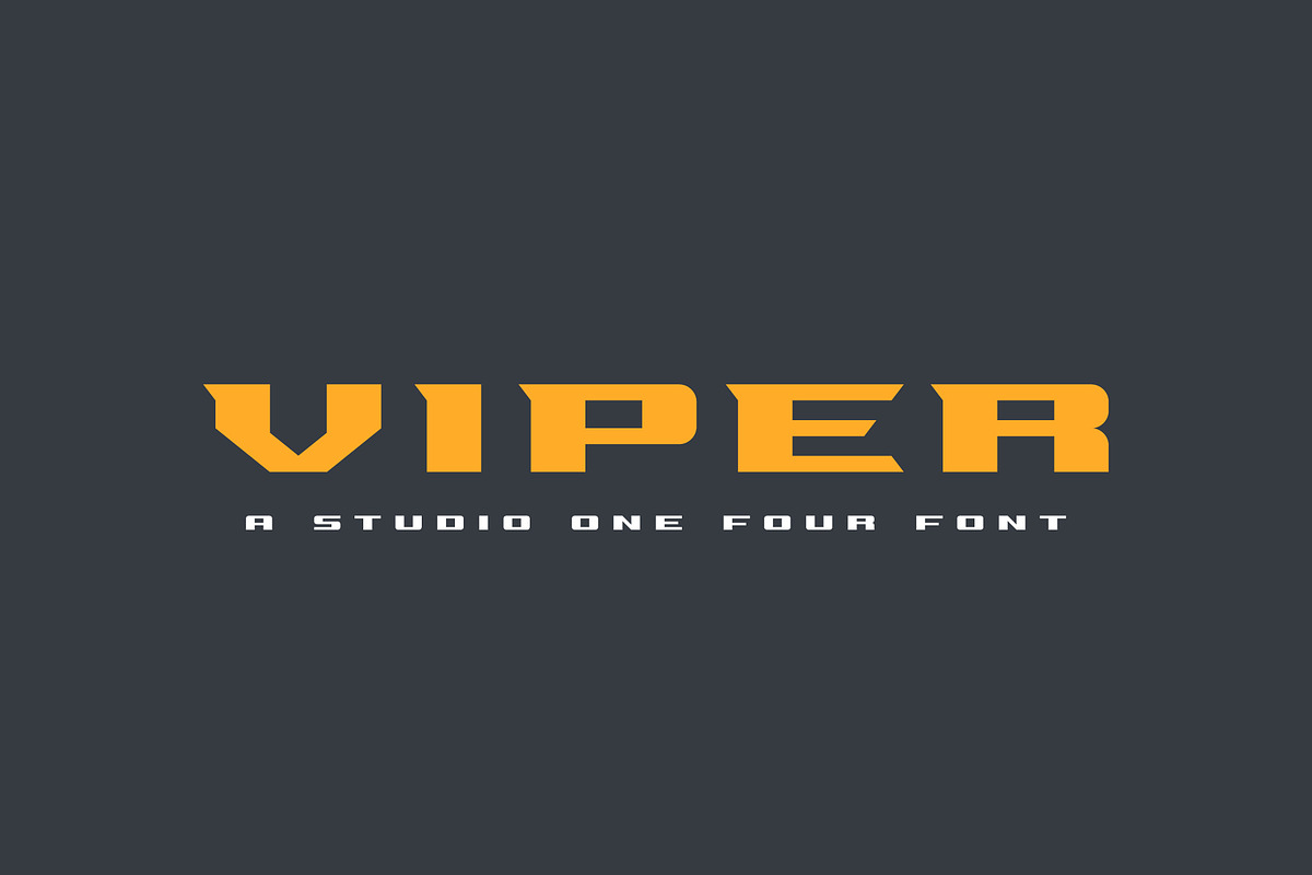 Viper, a Serif Font by Studio One Four (Photo 1 of 7)