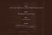 Soleneva - Signature Typeface, a Script Font by Creacy Studio (Thumbnail 10 of 10)
