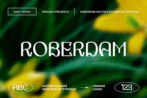 Roberdam - Sans Serif Aesthetic Font