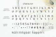 Serina - Modern Elegant Logo Font, a Sans Serif Font by roomspace creative lab (Thumbnail 10 of 11)