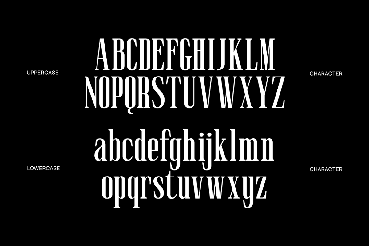 Muzzaro Elegant Condensed Serif Font, a Serif Font by Rasio Studio (Photo 2 of 10)