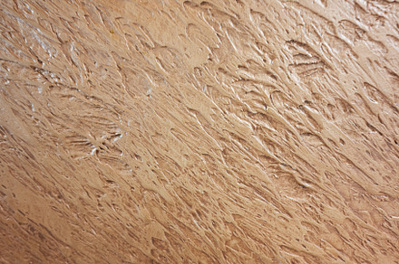 abstract background of brown cement wall texture., a Photo by AS photostudio