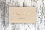 Patton Delicate Signature Typeface, a Script Font by takoliko (Thumbnail 8 of 11)
