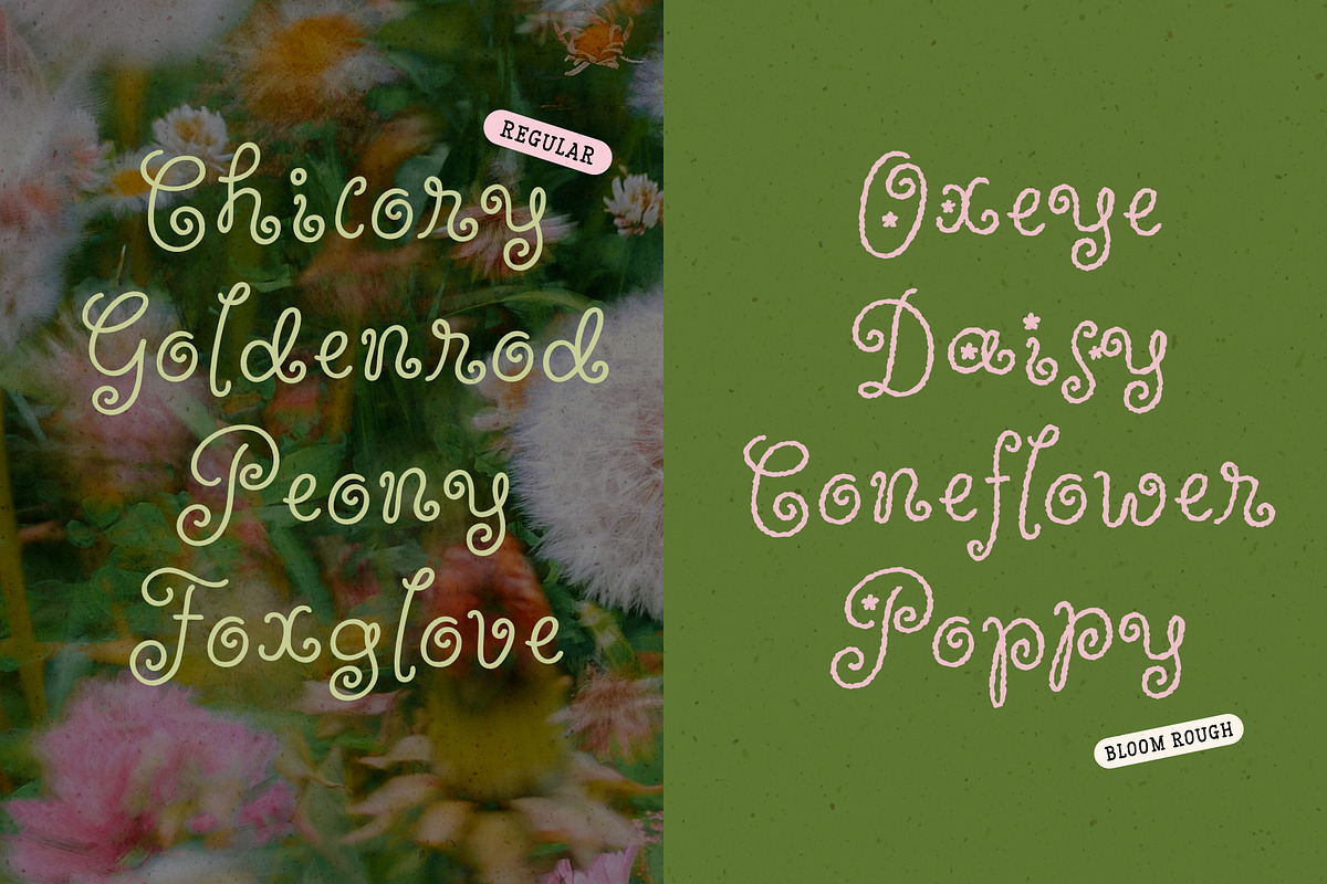 Wildflower Garden | Whimsical Font, a Handwritten Font by type peace (Photo 4 of 14)